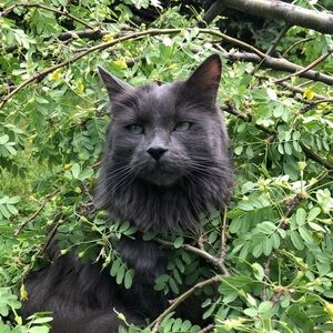 Meet your Posher, Catherine